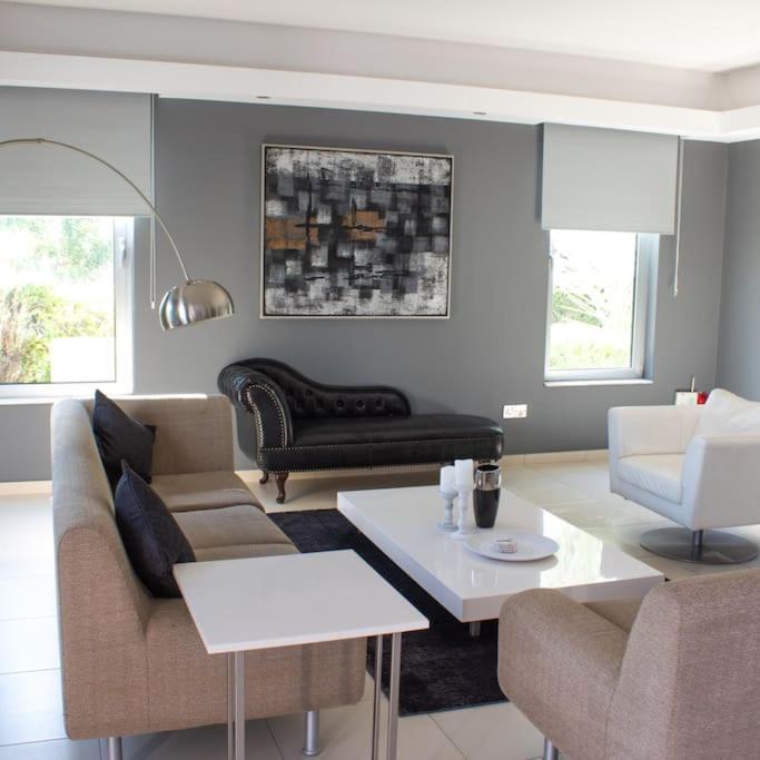 Villa Artemis Larnaca Dış mekan fotoğraf
