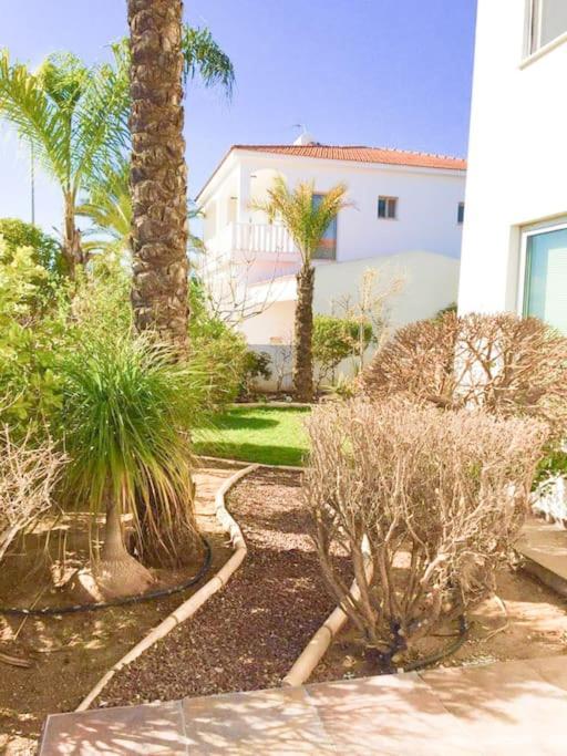 Villa Artemis Larnaca Dış mekan fotoğraf