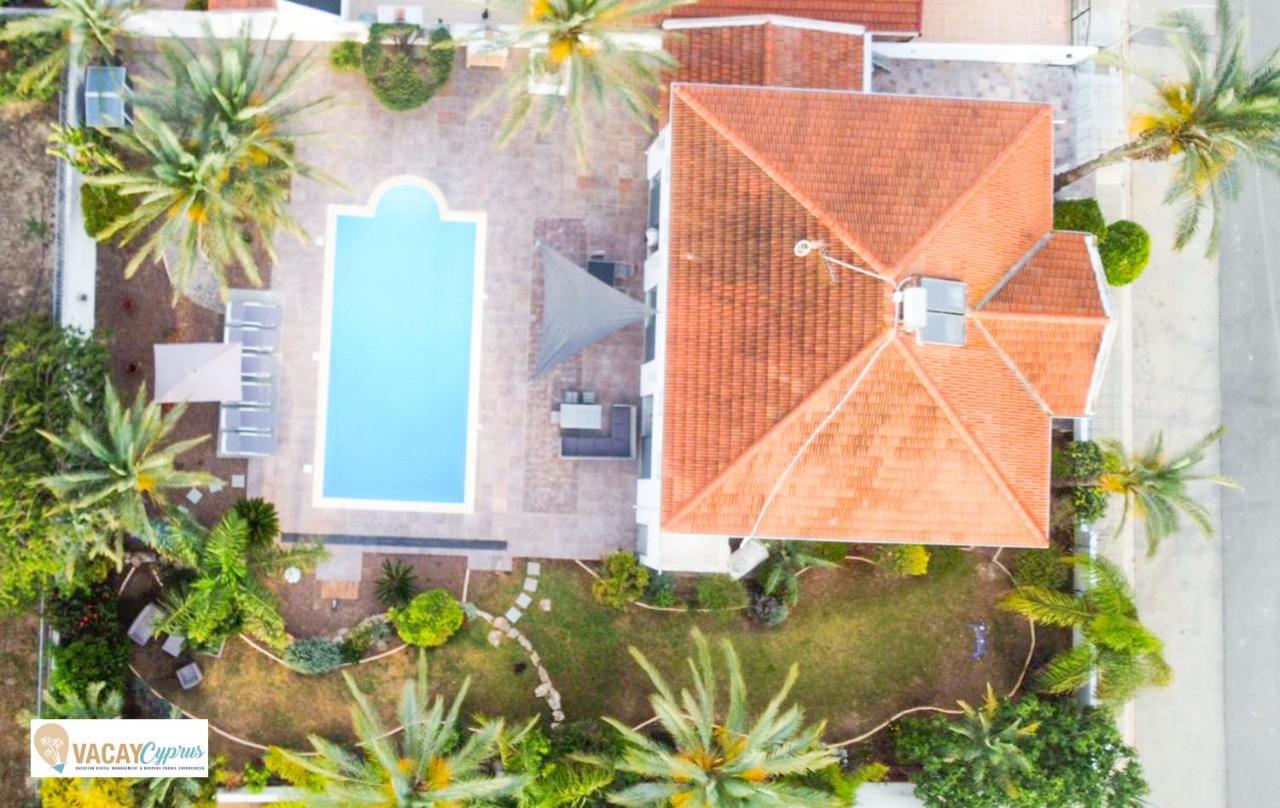 Villa Artemis Larnaca Dış mekan fotoğraf